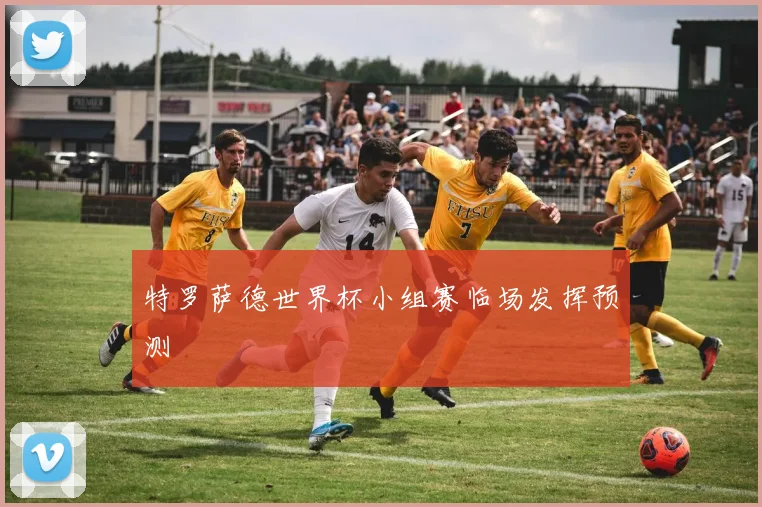特罗萨德世界杯小组赛临场发挥预测