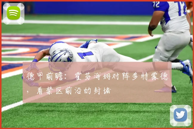 德甲前瞻:霍芬海姆对阵多特蒙德,看禁区前沿的封堵