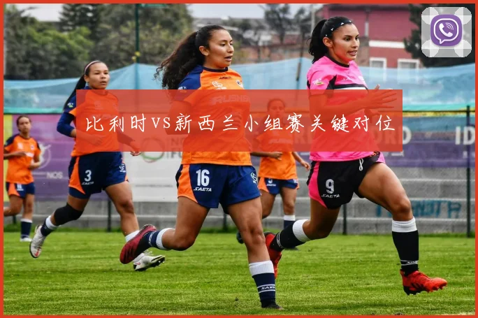 比利时vs新西兰小组赛关键对位