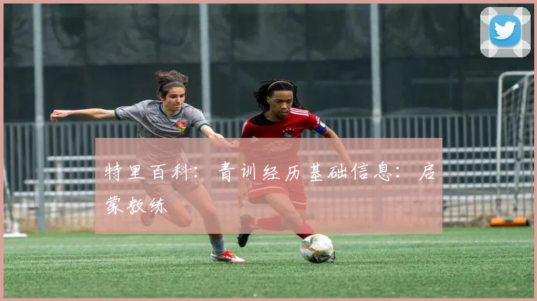 特里百科：青训经历基础信息：启蒙教练