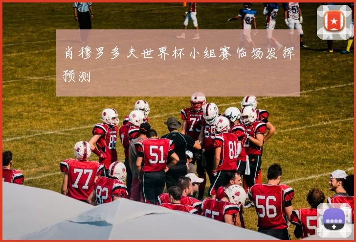 肖穆罗多夫世界杯小组赛临场发挥预测