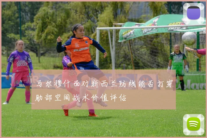 马尔穆什面对新西兰防线能否打穿肋部空间战术价值评估
