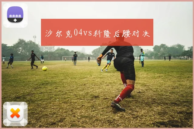 沙尔克04vs科隆后腰对决