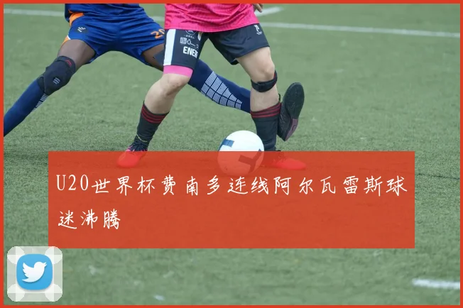 U20世界杯费南多连线阿尔瓦雷斯球迷沸腾