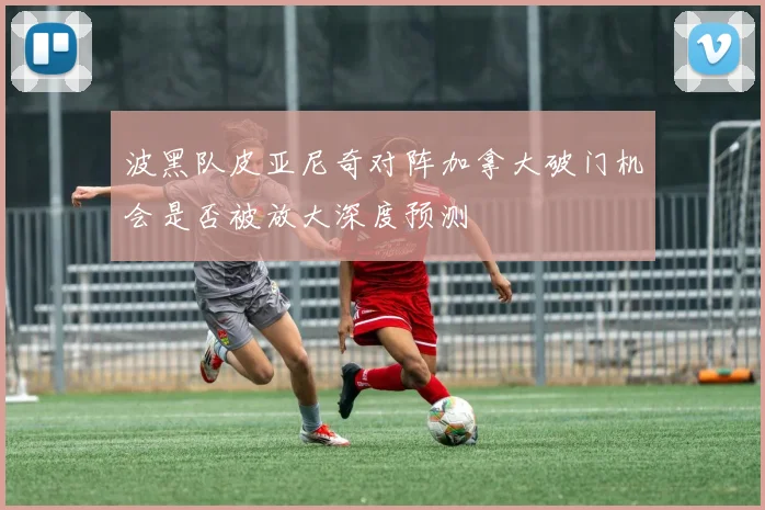 波黑队皮亚尼奇对阵加拿大破门机会是否被放大深度预测