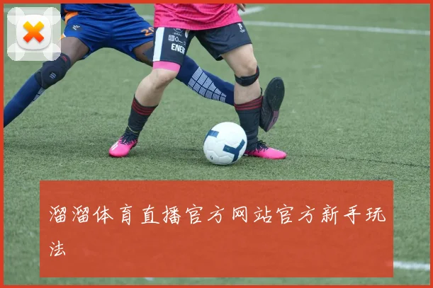溜溜体育直播官方网站官方新手玩法