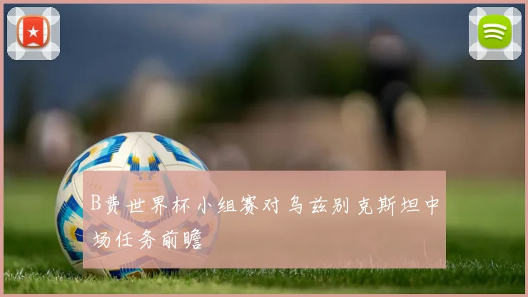 B费世界杯小组赛对乌兹别克斯坦中场任务前瞻